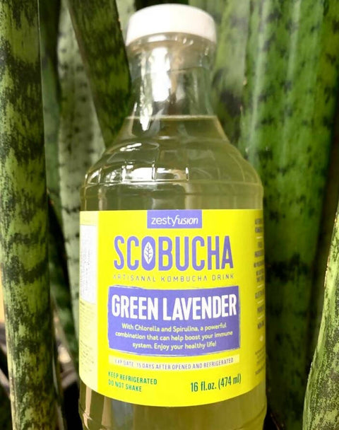 Scobucha - Kombucha Green Lavender